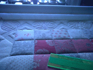 IMG00281-20110313-1554