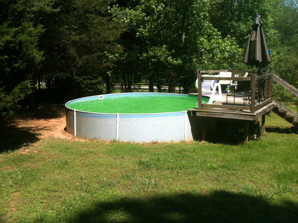 Iron-and-Copper-in-pool